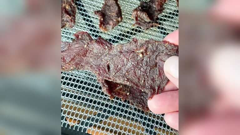 How to Make Beef Jerky in a Food Dehydrator