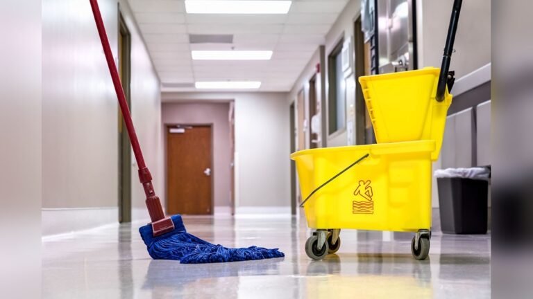 What Mop Do Professional Cleaners Use