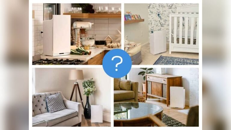 Where is the Best Place to Put an Air Purifier