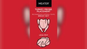 Where to Insert Meat Thermometer in Turkey