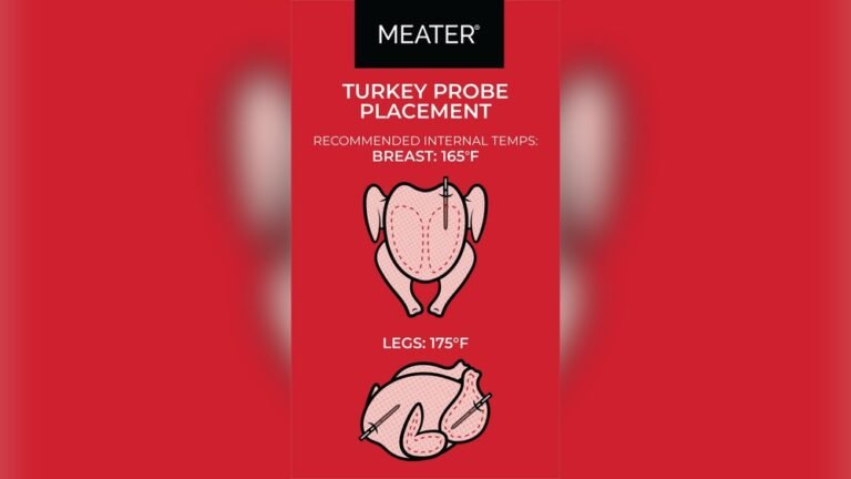 Where to Insert Meat Thermometer in Turkey