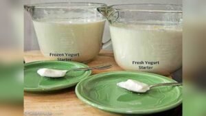 Why Does Homemade Yogurt Taste Sour