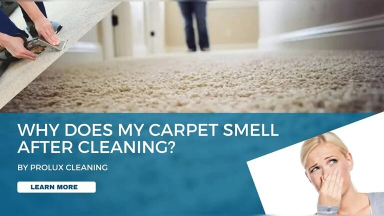 Why Does My Steam Cleaner Smell