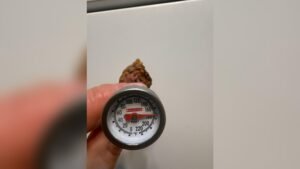 Why is My Meat Thermometer Not Working