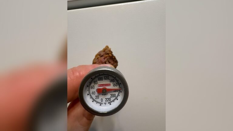 Why is My Meat Thermometer Not Working