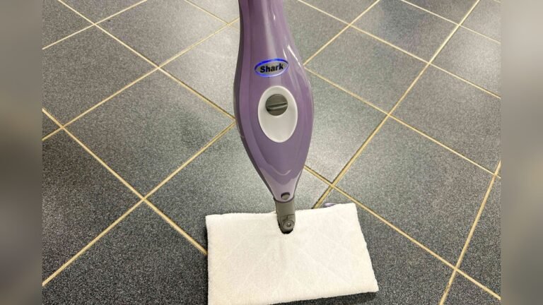 Why is My Steam Mop Not Steaming