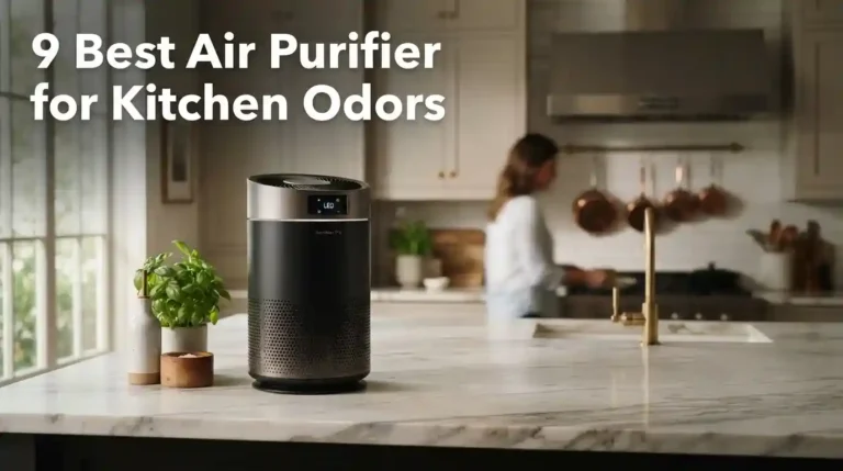 Best Air Purifier for Kitchen Odors