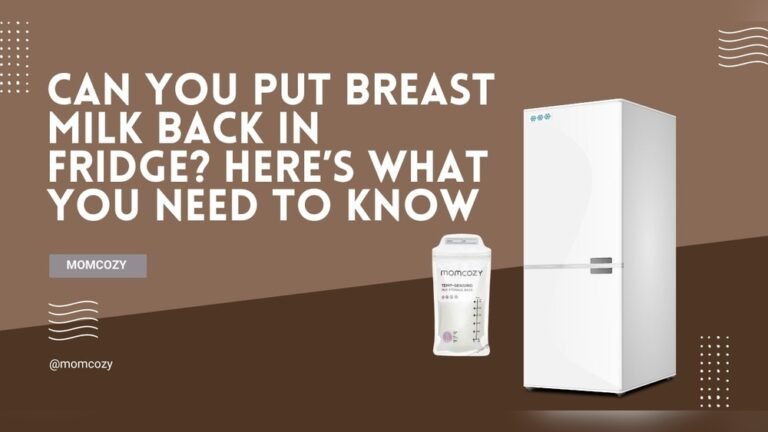 Can Breast Milk Be Put Back In Fridge?