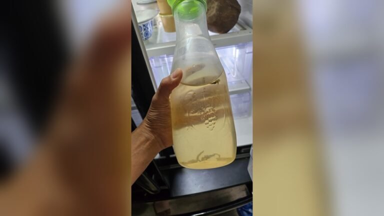 Can Brewed Tea Go Bad