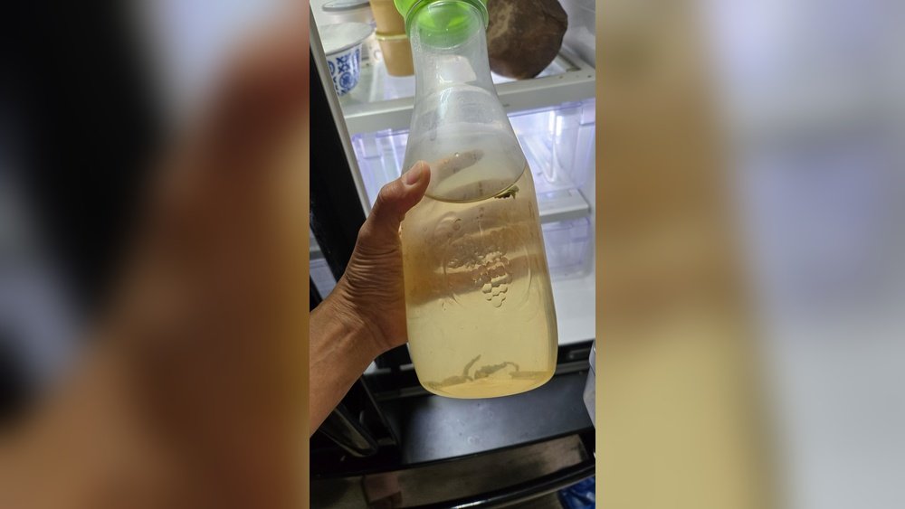 Can Brewed Tea Go Bad? How to Tell and Store Safely