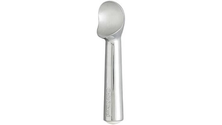 Can Ice Cream Scoops Go in the Dishwasher