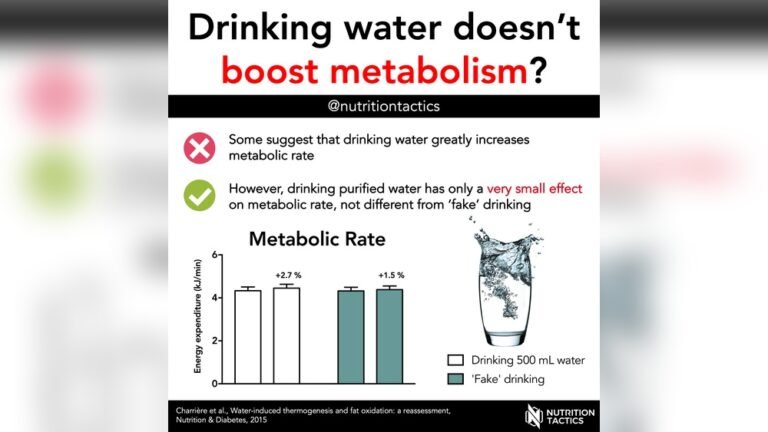 Does Drinking Water Help Metabolism