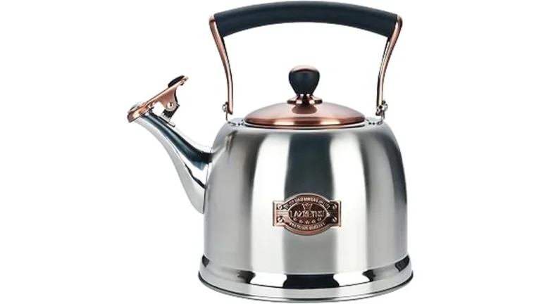 Best Stainless Steel Teapot
