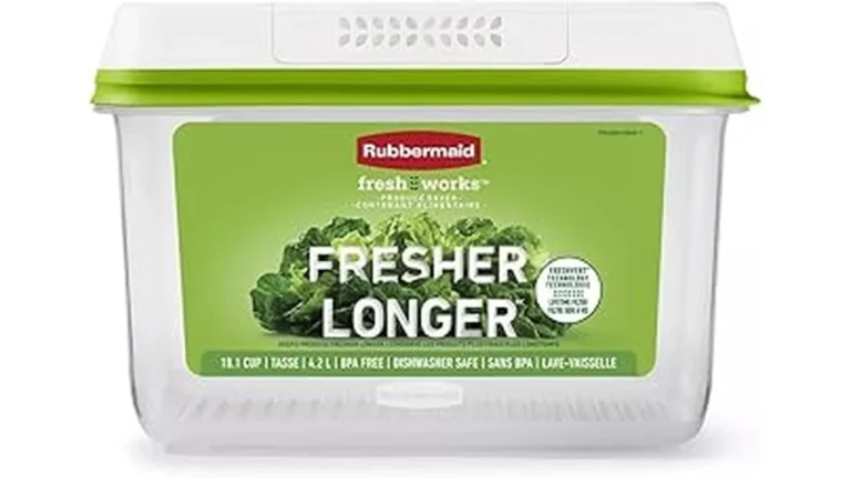 Best Container to Keep Salad Fresh