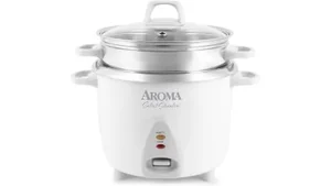 Best Stainless Steel Rice Cooker
