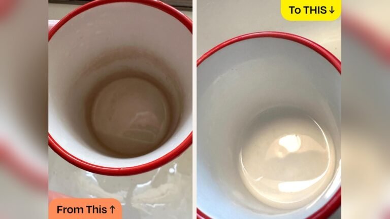 How to Clean Coffee Stains from Mugs