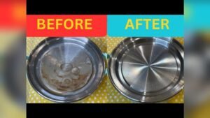 How to Clean Dash Egg Cooker