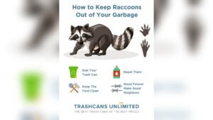 How to Keep Raccoons Out of Trash Cans