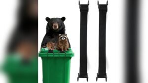 How to Keep Trash Cans from Tipping Over