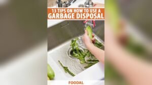 How to Use a Garbage Disposal