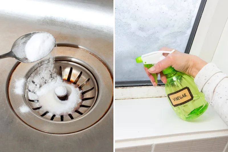 vinegar citric acid descaler comparison
