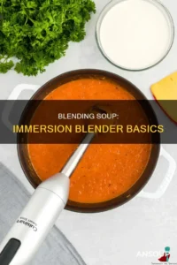 what is an immersion blender