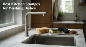 Best Kitchen Sponges for Washing Dishes