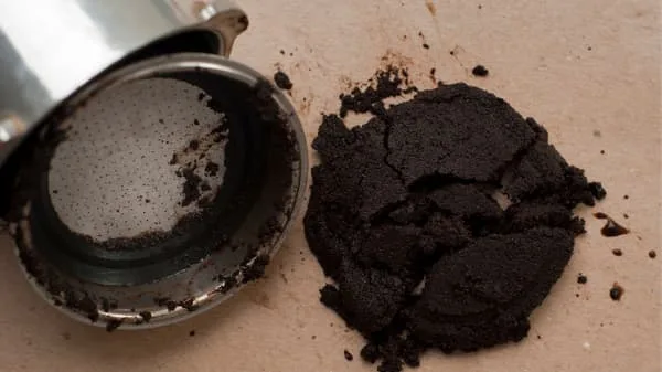 can you put coffee grounds in the garbage disposal