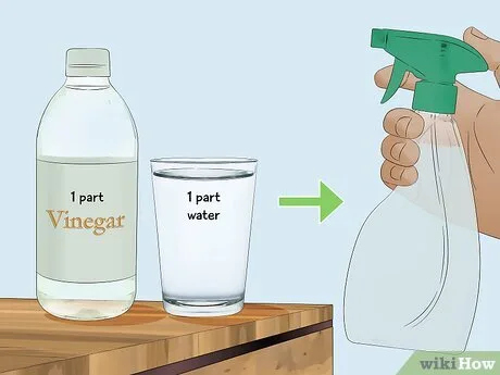 descaling solution ratio