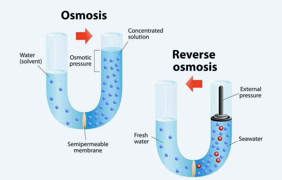 An old discolored water filter cartridge is compared to a new replacement filter unit.