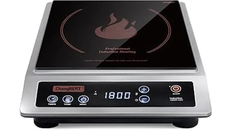 Best Electric Burner for Cooking