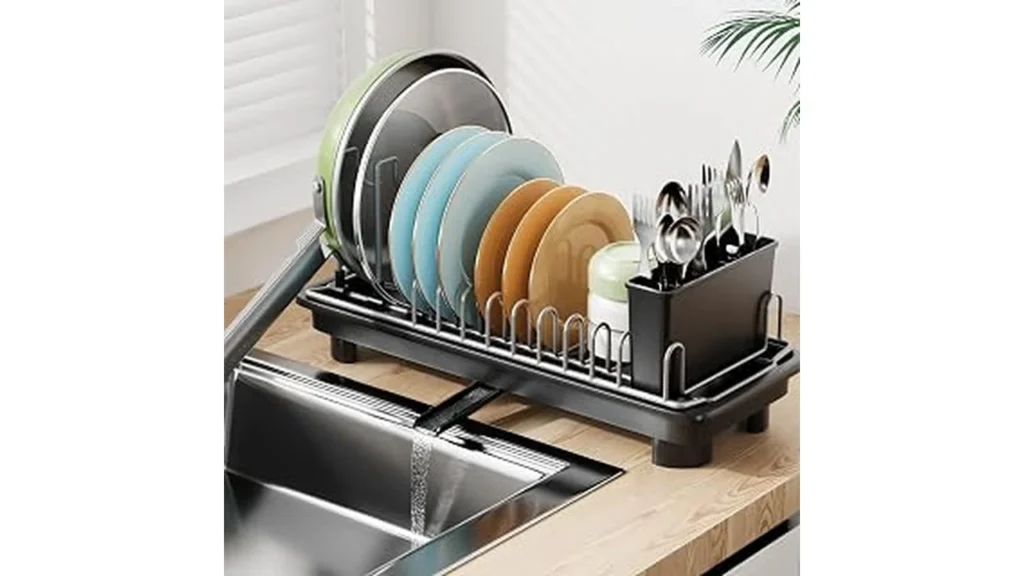 Best Dish Drying Rack for Small Spaces