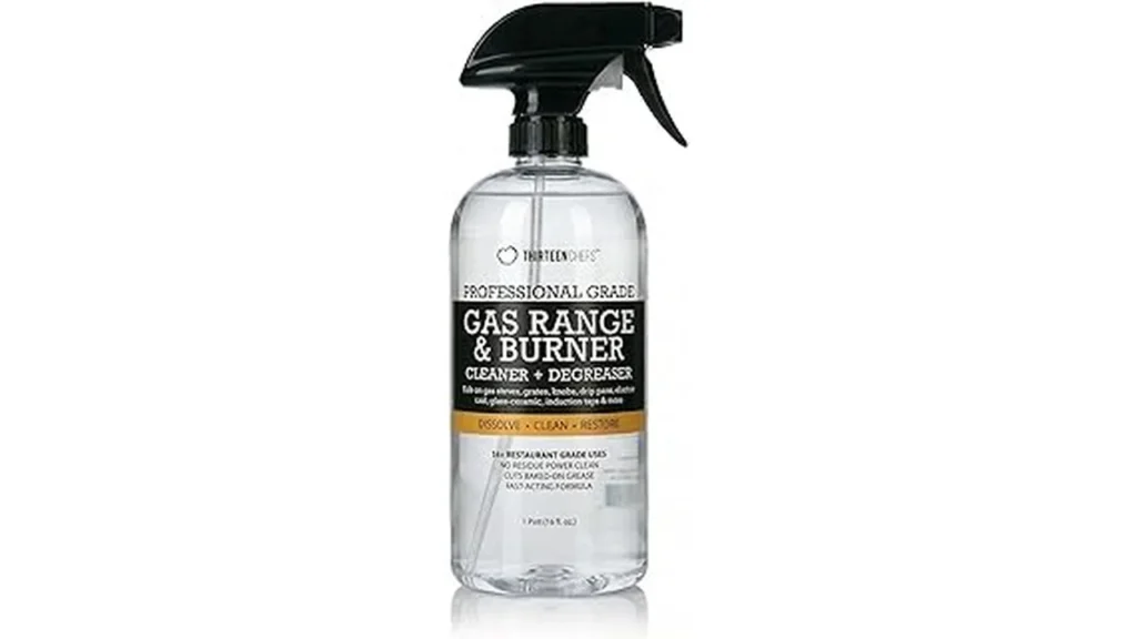 Best Gas Range Cleaner