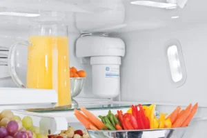 how much water to run through a new refrigerator filter