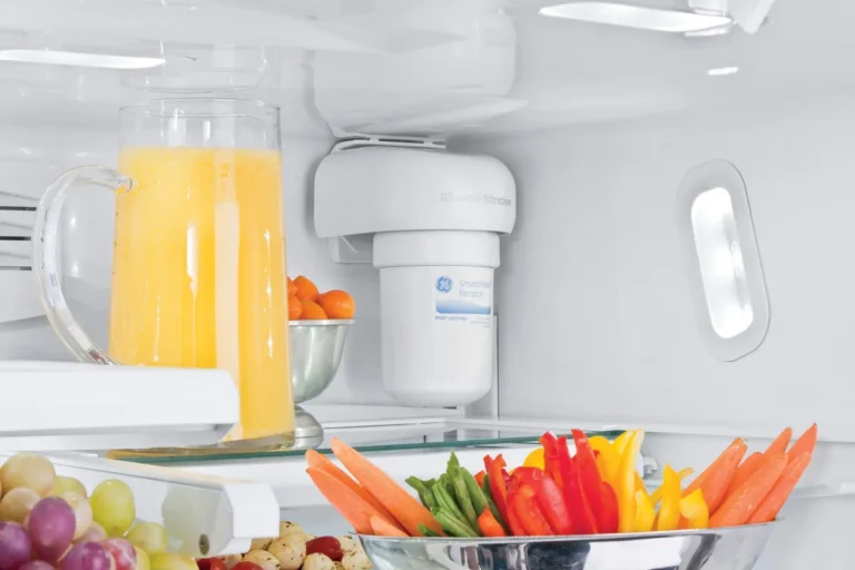 how much water to run through a new refrigerator filter