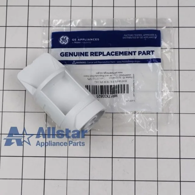 Refrigerator water filter bypass plug