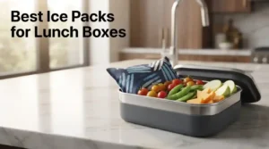 Best Ice Packs for Lunch Boxes