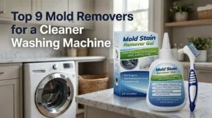 Best Mold Remover for Washing Machine
